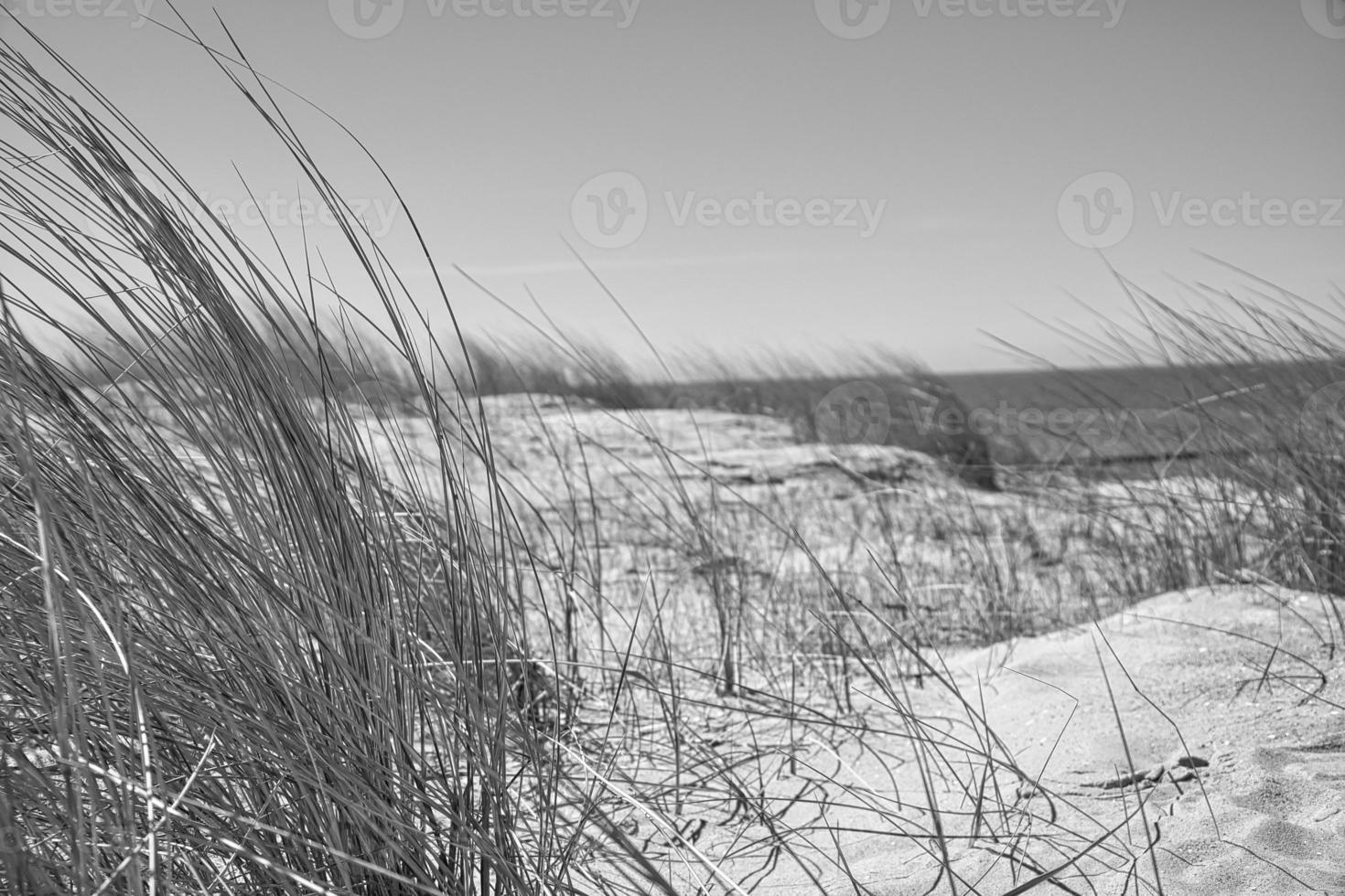 high dune on the darss. Viewpoint in the national park. Beach, Baltic Sea, sky and sea. photo