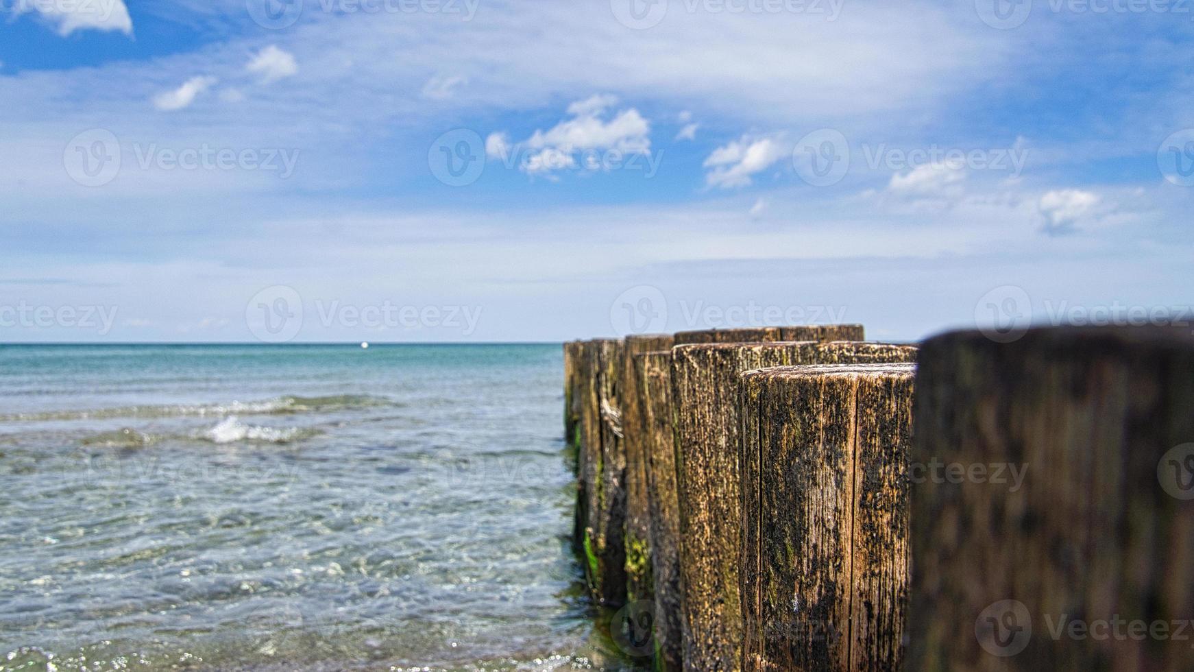 groynes jutting into the sea. taken in zingst on the darss. photo