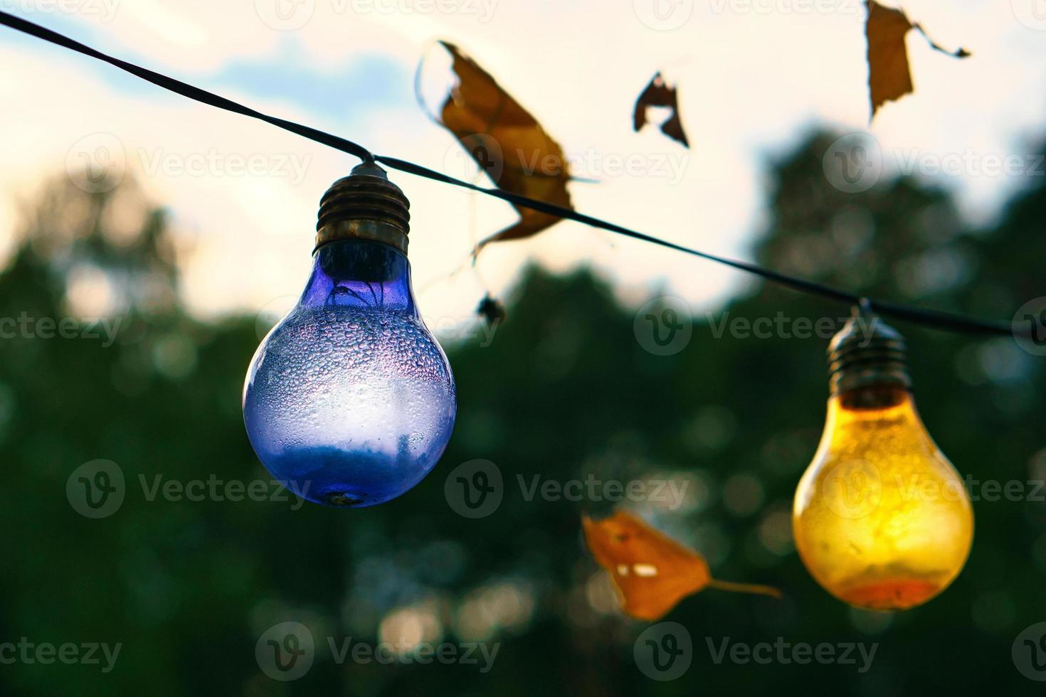 cadena de luces colgando del árbol. fiesta de jardin. Lugar romantico. luz de colores foto