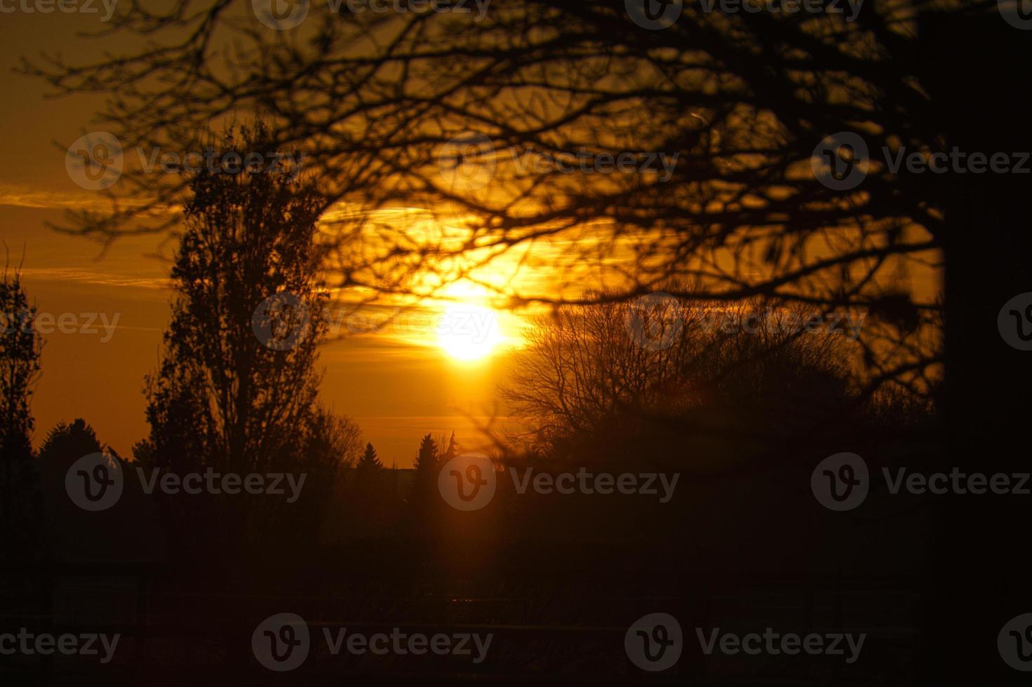 Setting sun on the outskirts of Berlin. The sky seems to burn photo