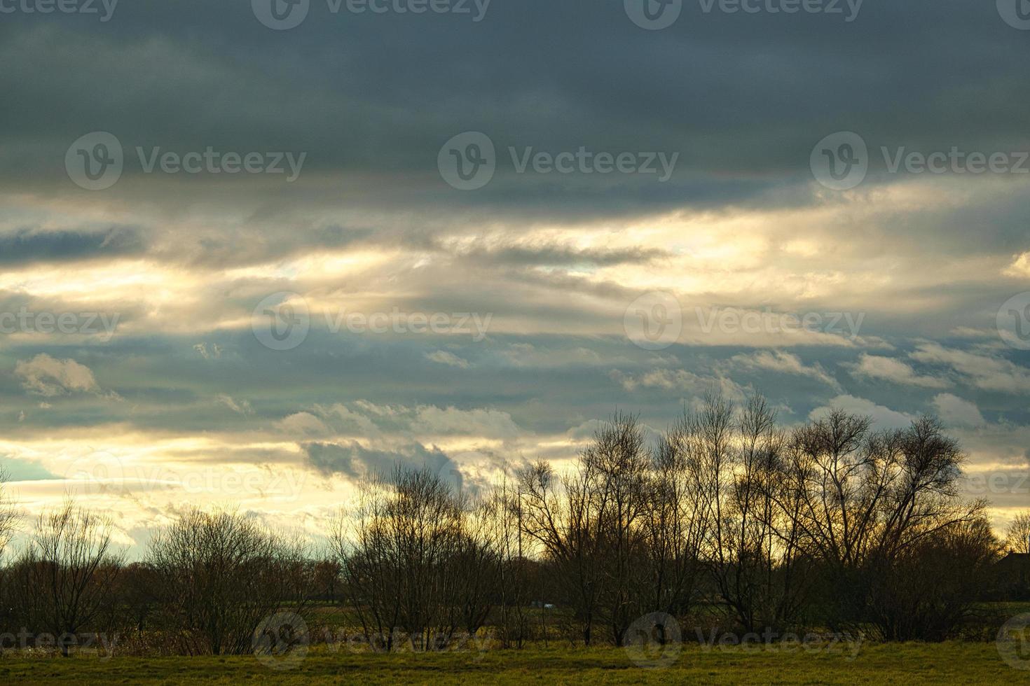 Sunset with burning sky behind the trees. photo