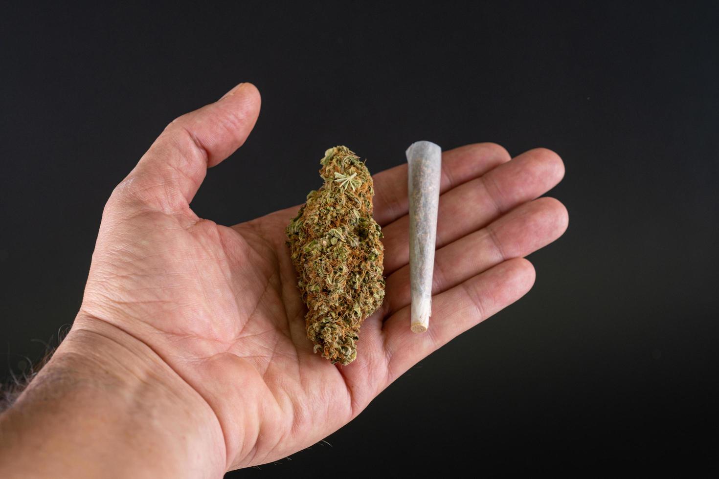 big bud and joint in a hand photo