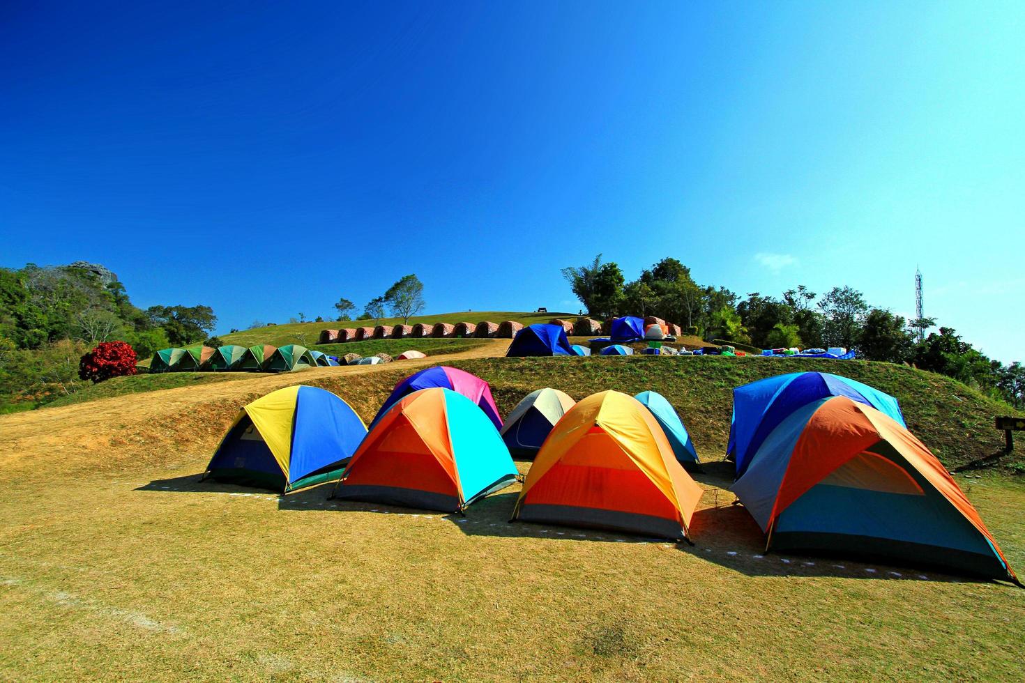 muchas carpas coloridas preparadas para acampar y dormir en el parque nacional sri nan, nan, tailandia. actividad el fin de semana entre natural con fondo de cielo azul claro y aire fresco. foto