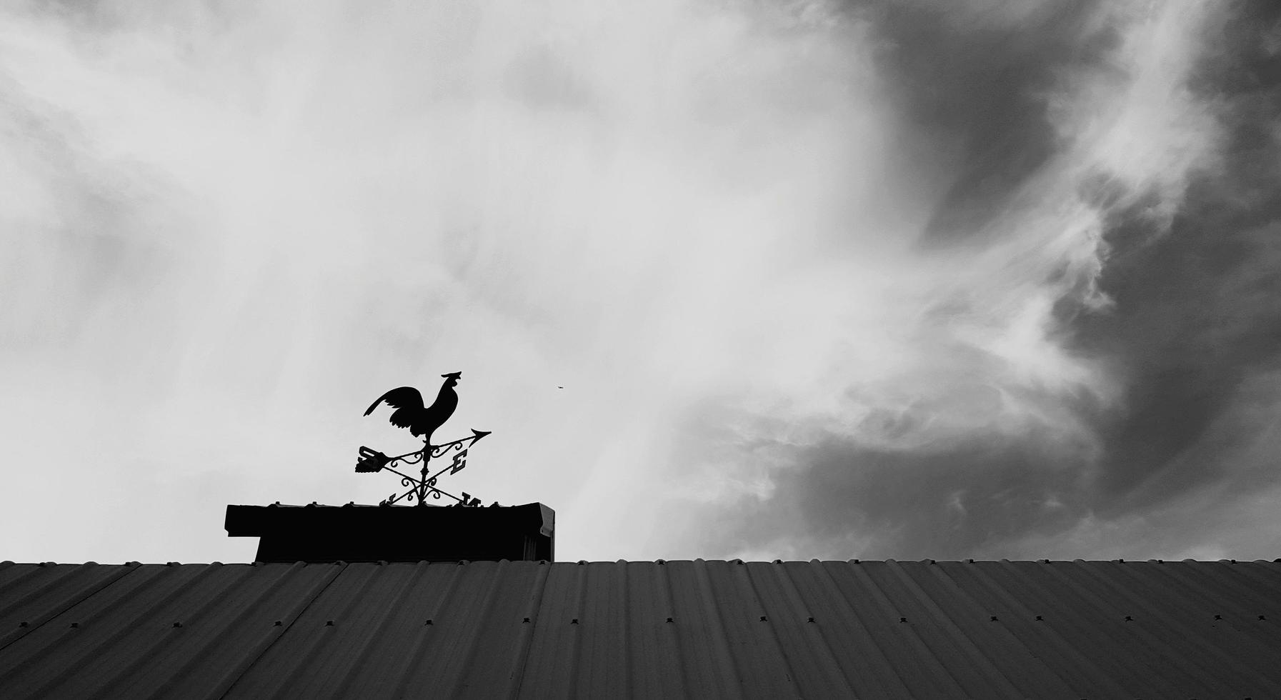 Chicken windmill on roof with sky background and copy space black and white tone. Object for tell wind direction and force in monochrome picture. Silhouette of animal statue. photo