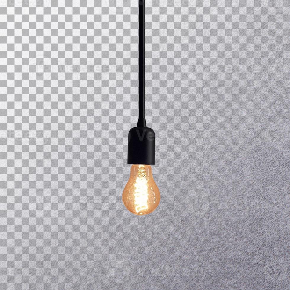 Side view retro light bulb isolated photo