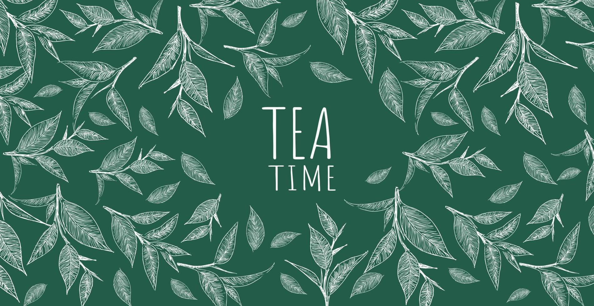 Vector background with green tea. Hand drawn.