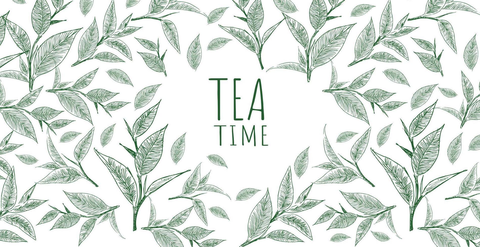 Vector background with green tea. Hand drawn.