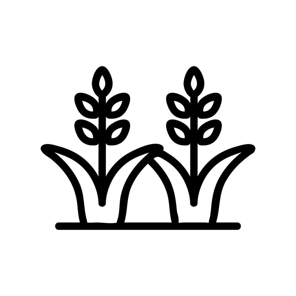 rice wheat sprouts icon vector outline illustration