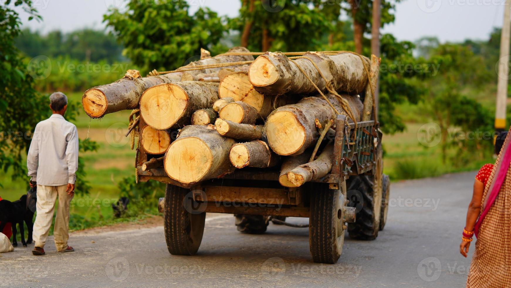 shredding wood on the tractor photo