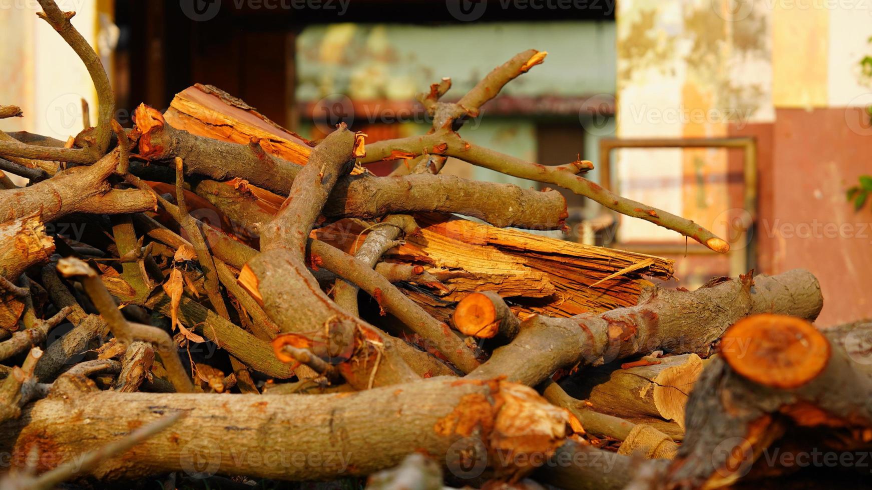 cuts of wood image hd photo
