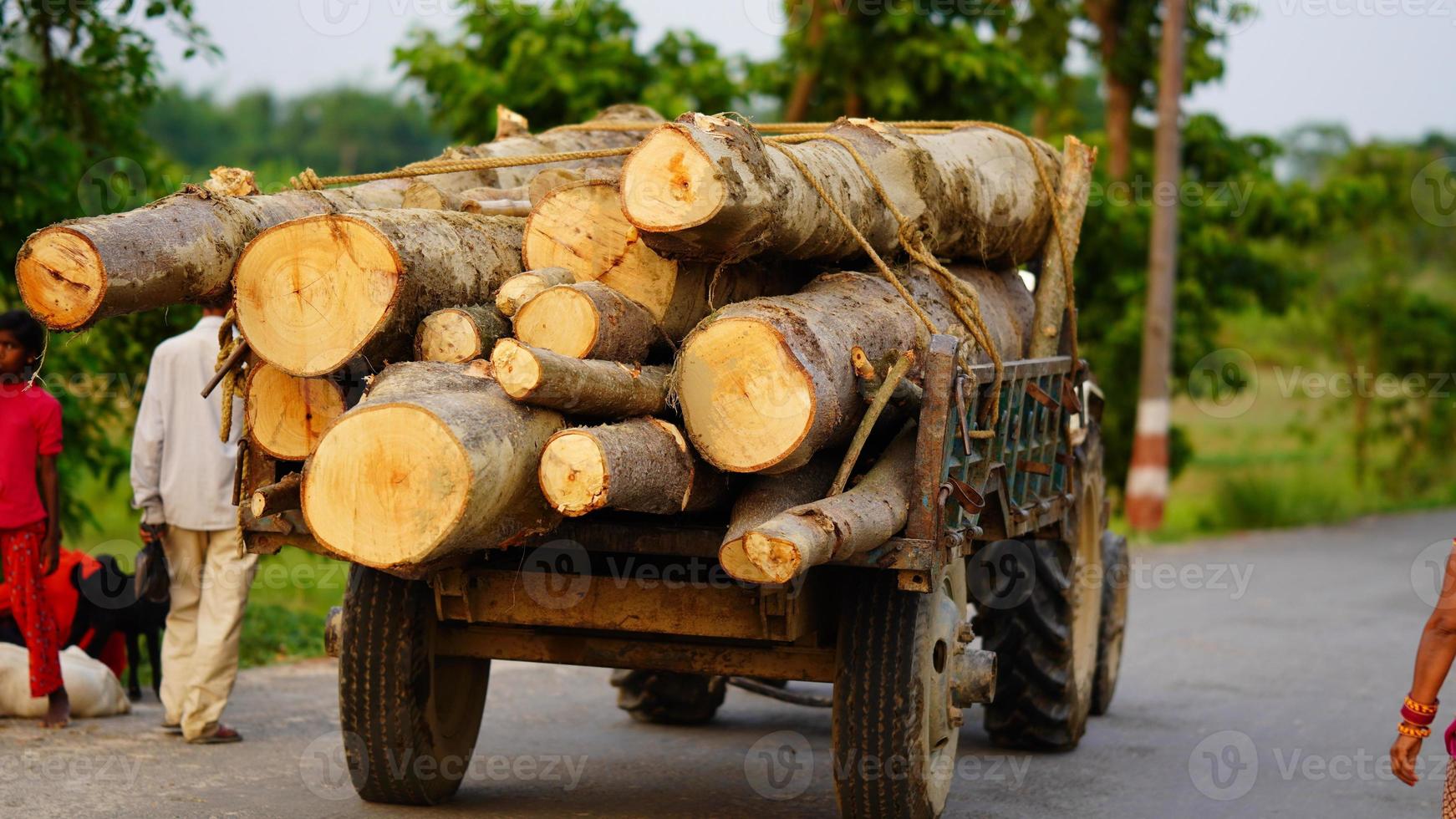 shredding wood on the tractor photo