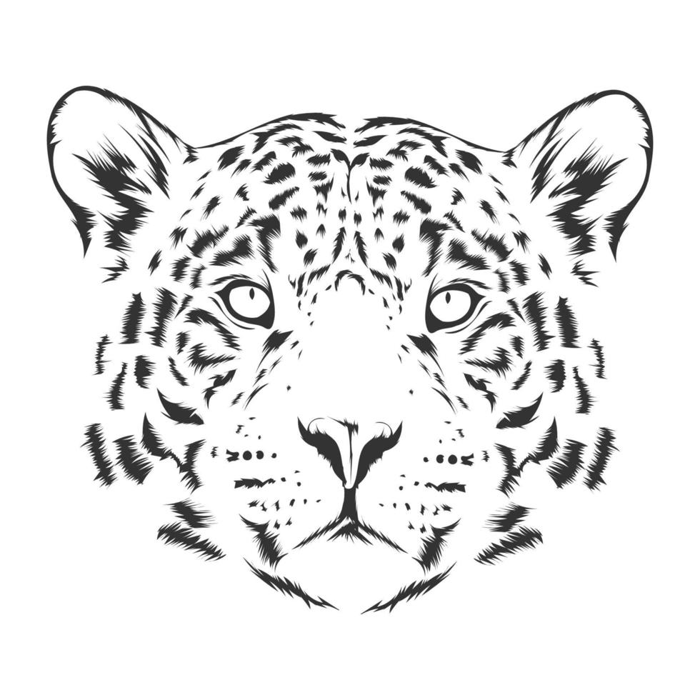 ilustración vectorial de leopardo vector