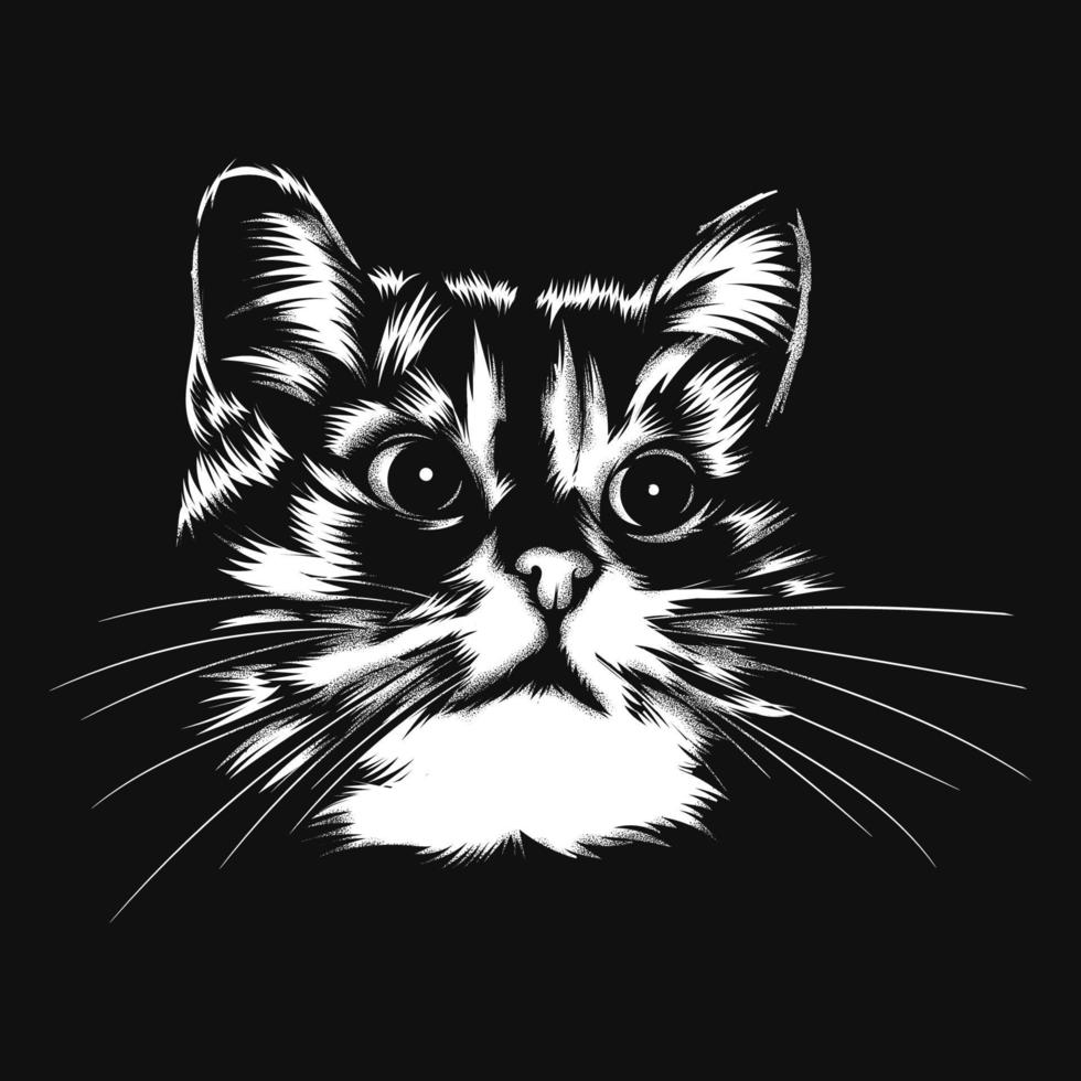 cat vector illustration