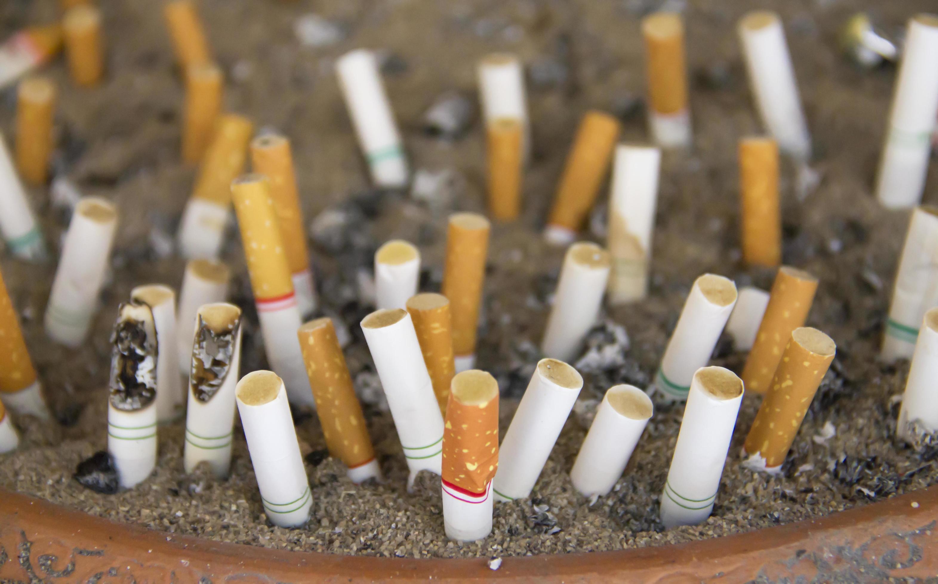 Cigarettes butt in in rubbish bin. 9743246 Stock Photo at Vecteezy
