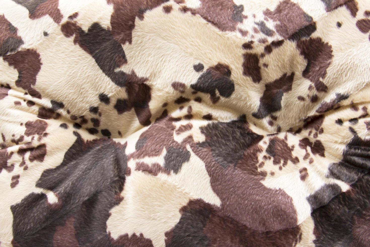 Cow skin texture photo
