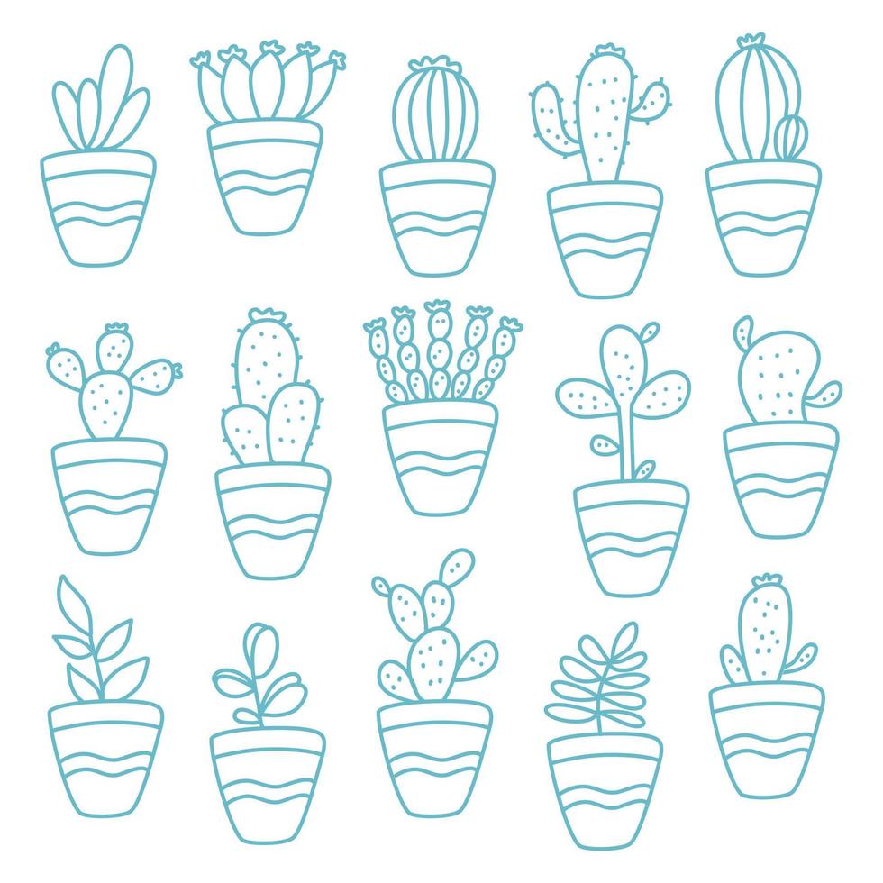 succulents cactus in pots set outline vector