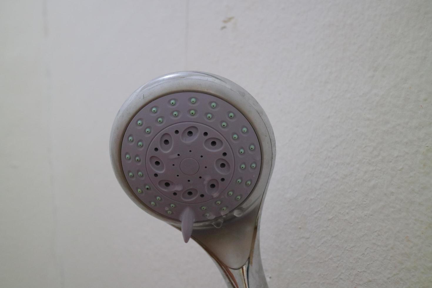 The end of the shower head is rounded for bathing photo