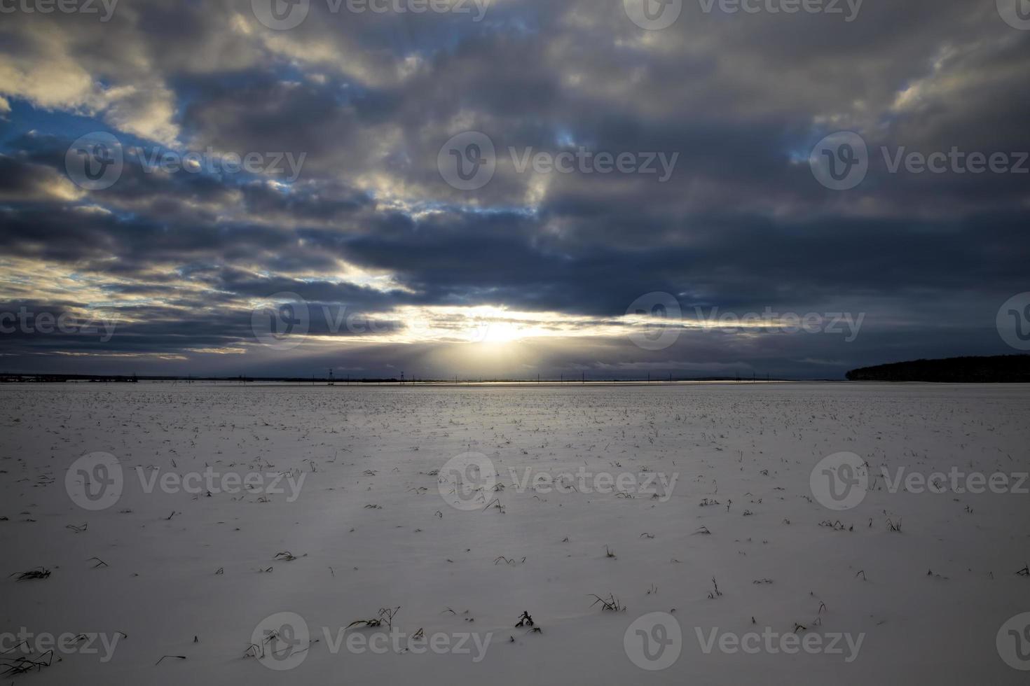 agricultural field, winter photo