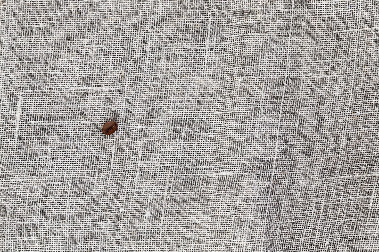 Single coffee bean photo