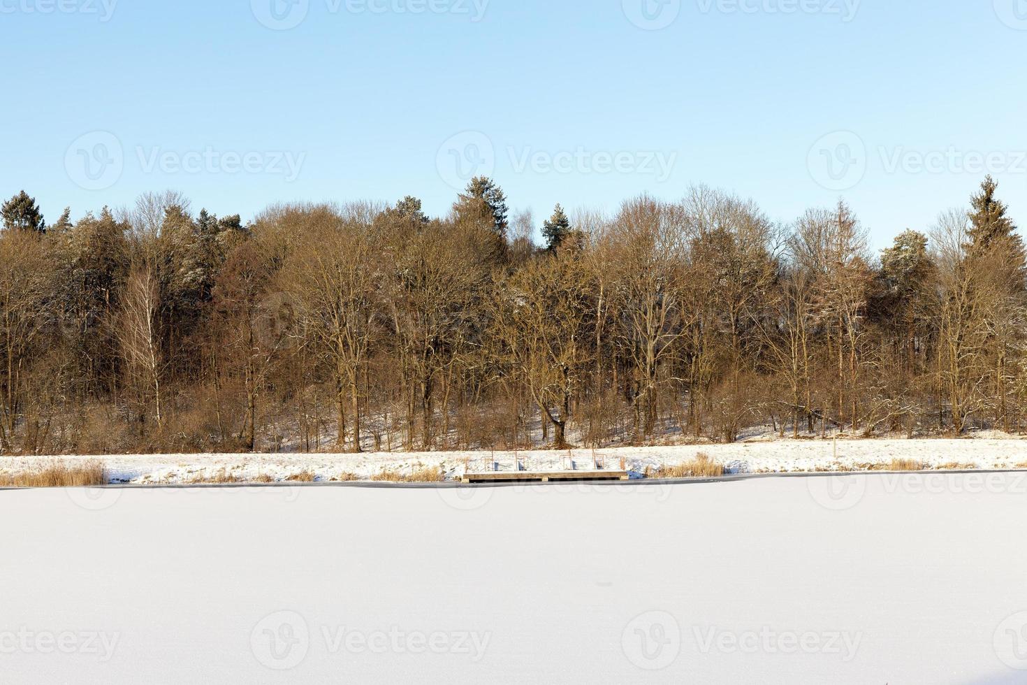 Winter forest, lake photo