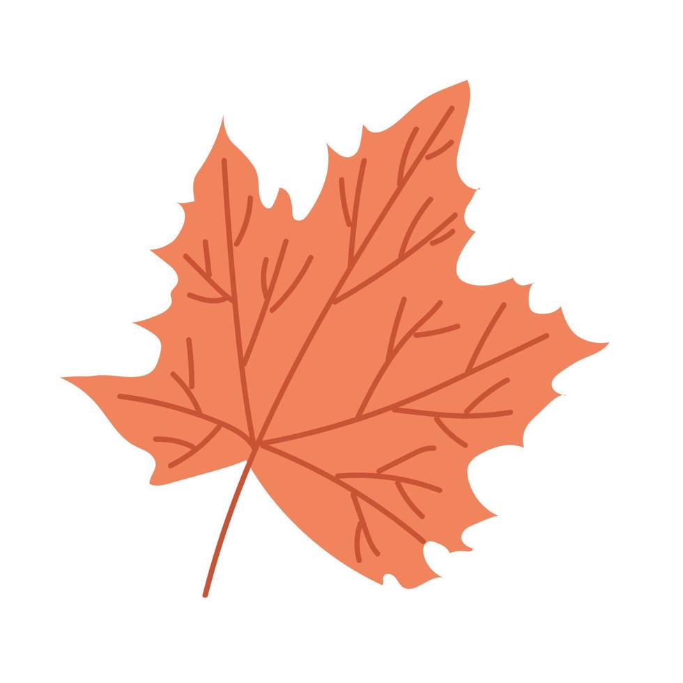 hojas de otoño estilo doodle otoño acogedor. ilustración vectorial plana vector