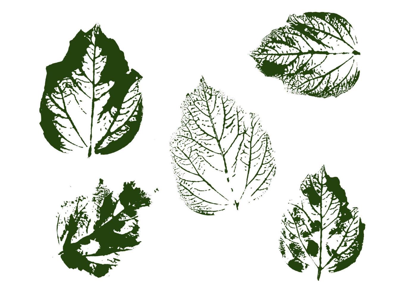 Vector Leaf print. Different black leaves stamp. Hand drawn floral elements.