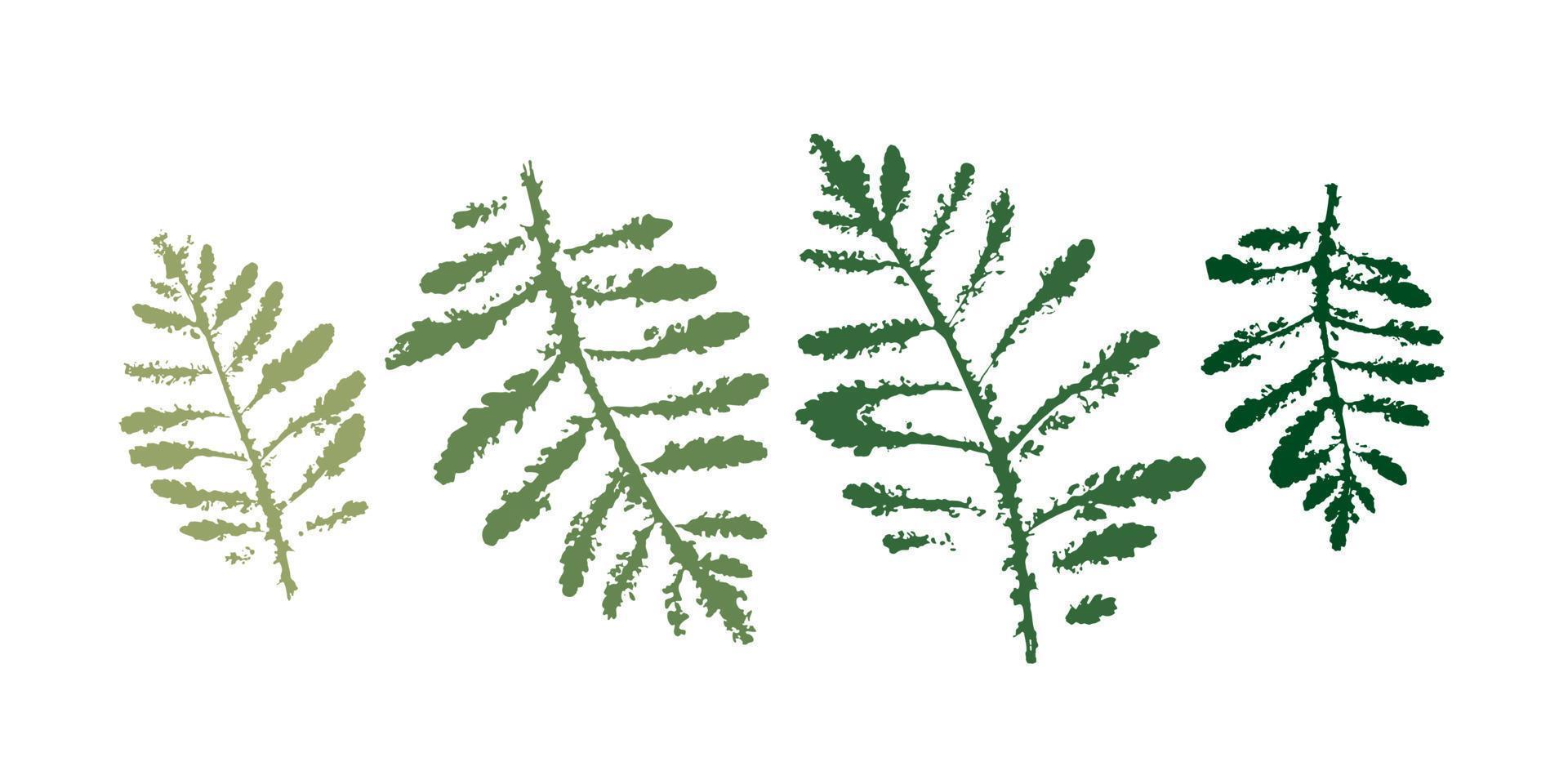 impresión de hojas vectoriales. sello de hojas negras diferentes. elementos florales dibujados a mano. vector