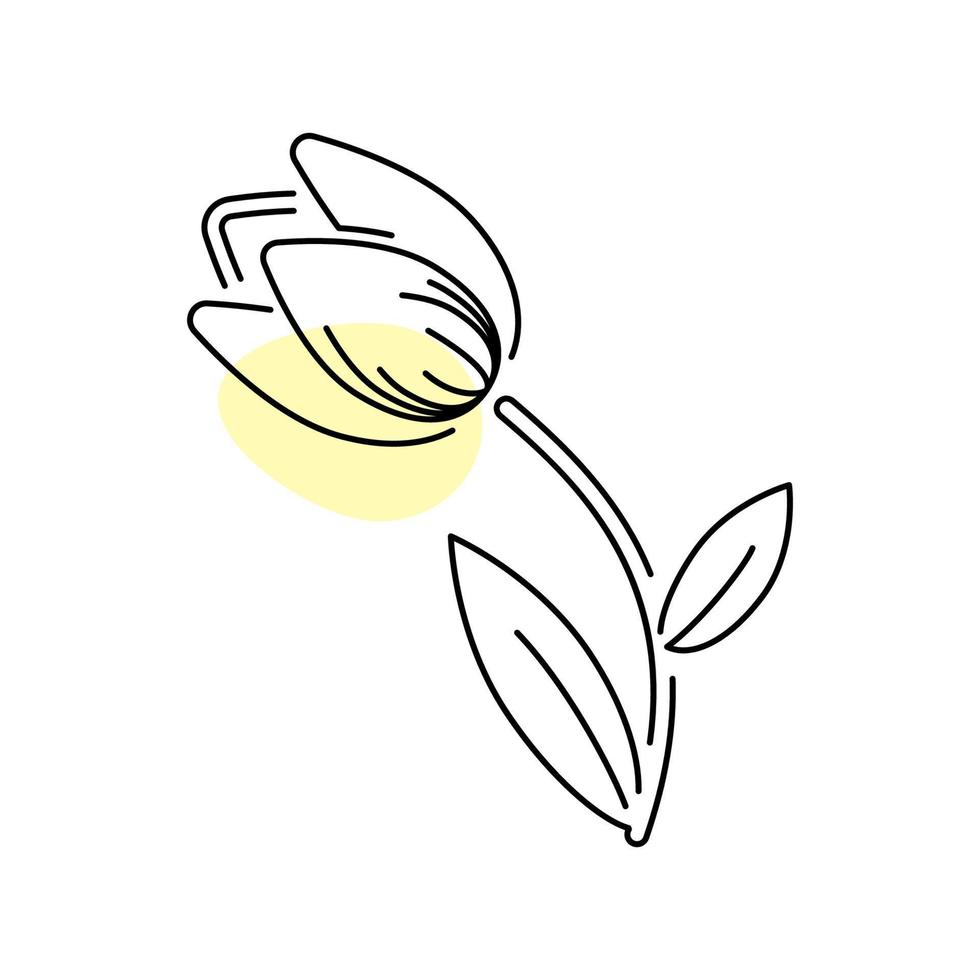 Vector outline art tulip. Single line spring flower illustration. Plants for celebration.