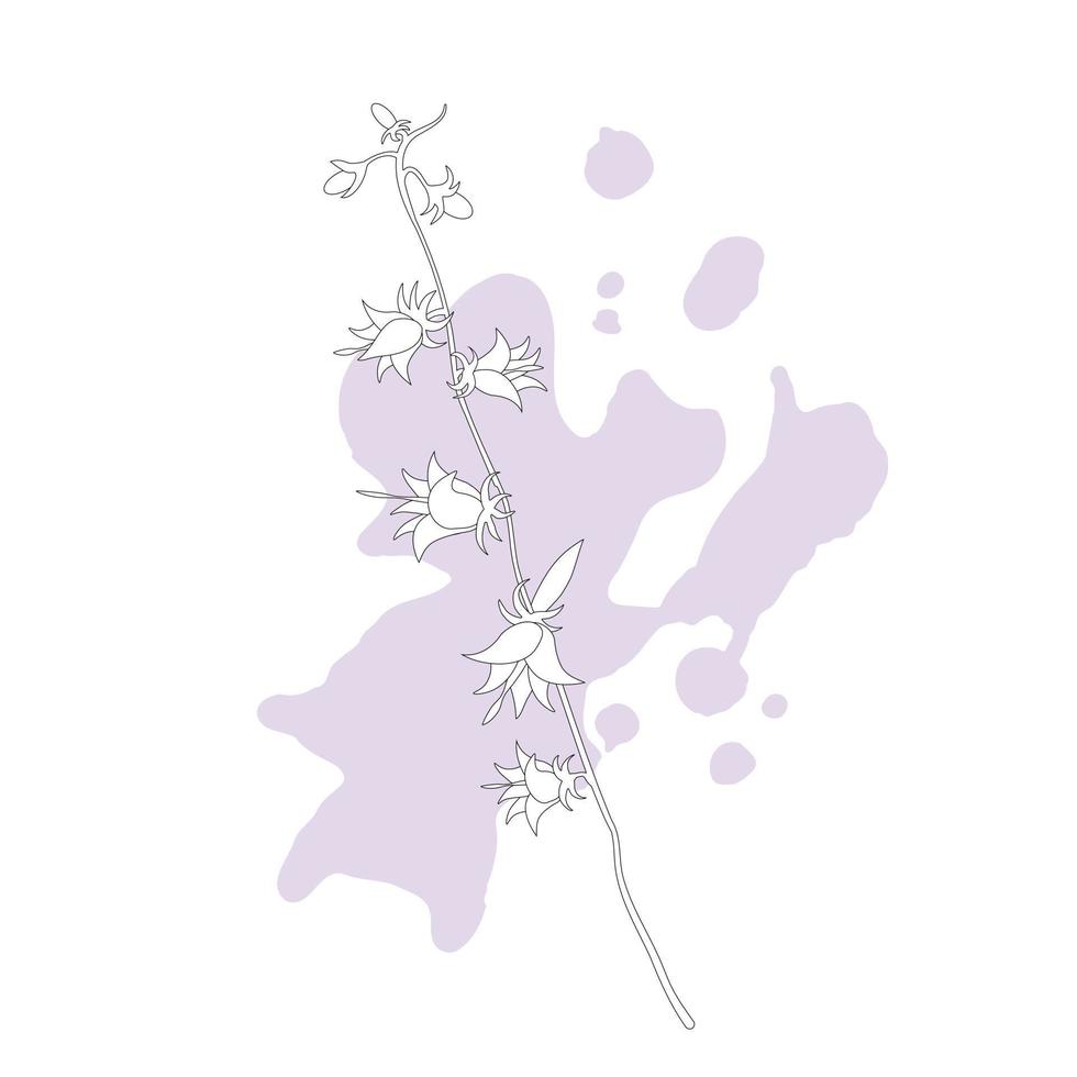 Line drawing vector bell flower. Minimal art blossom isolated on spots.