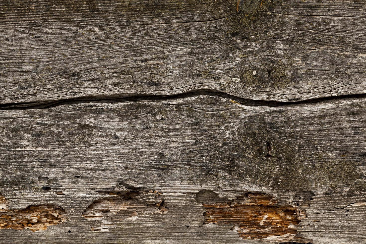 wooden surface, close up photo