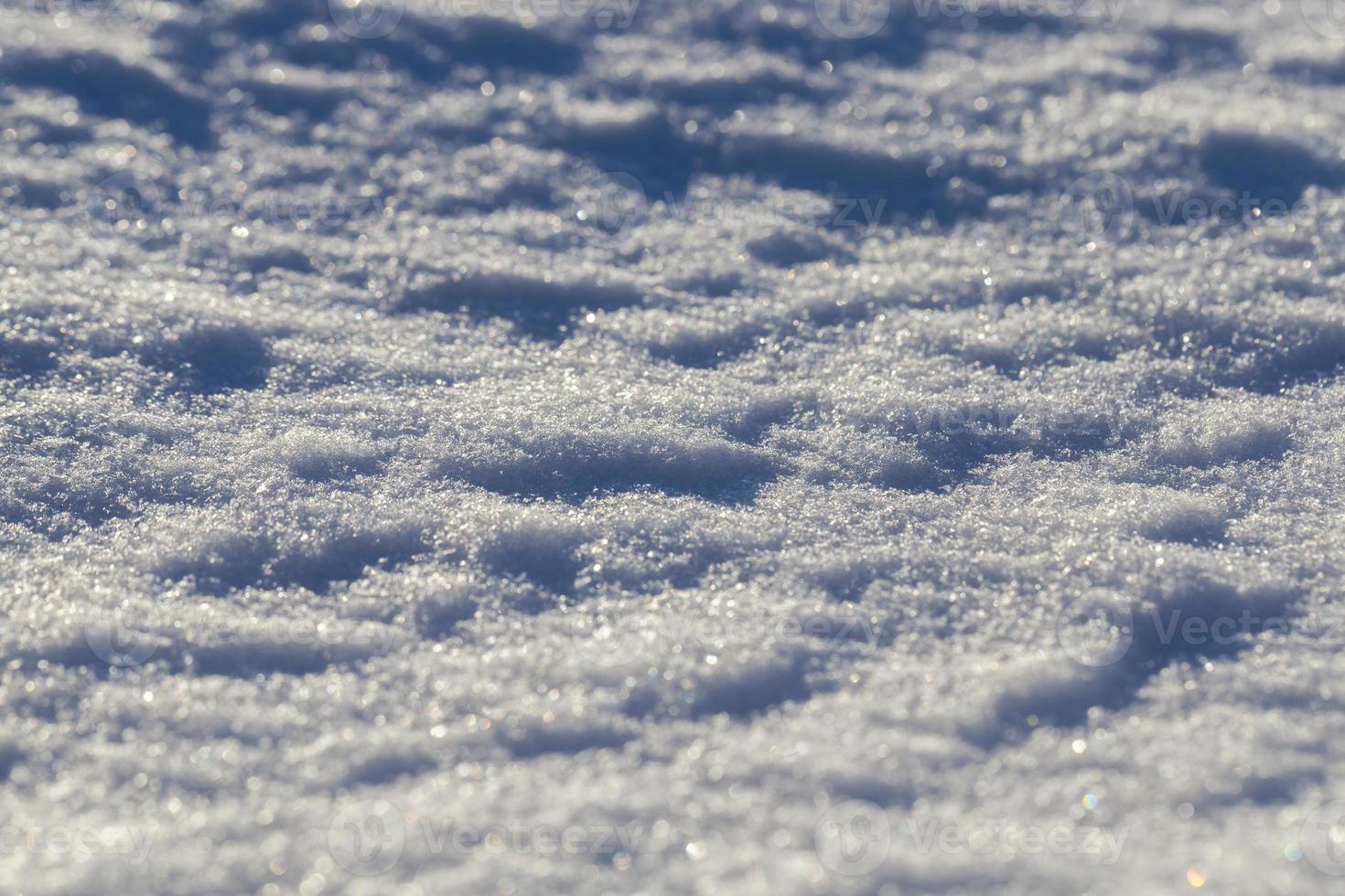 ventisqueros en invierno foto