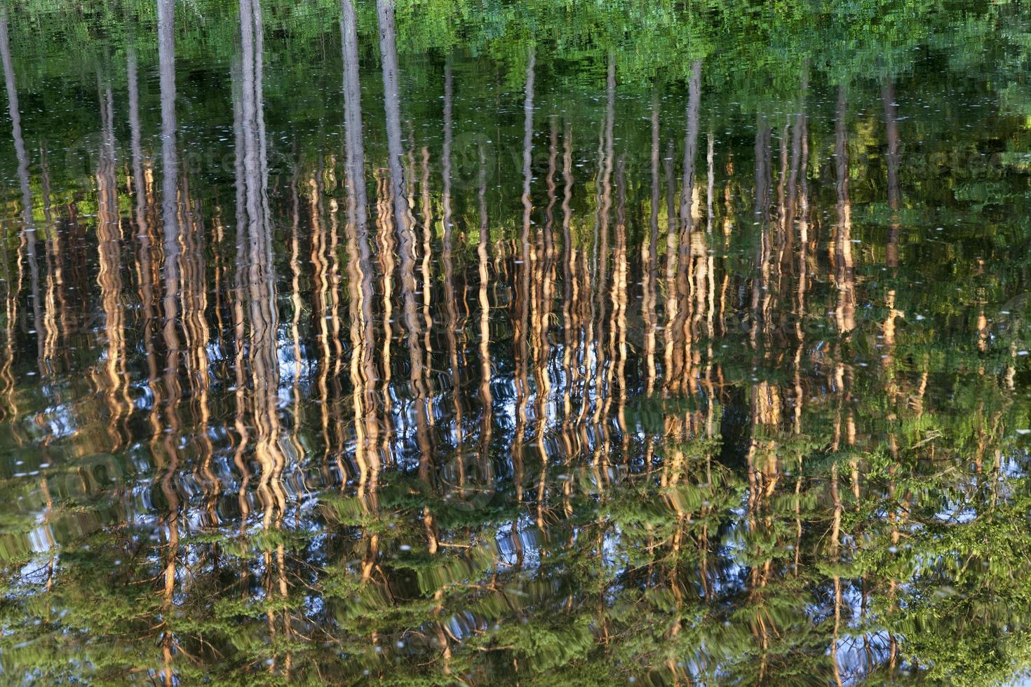 reflection in the water photo