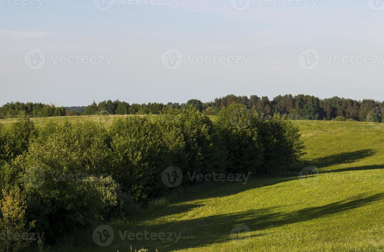 paisaje al atardecer foto