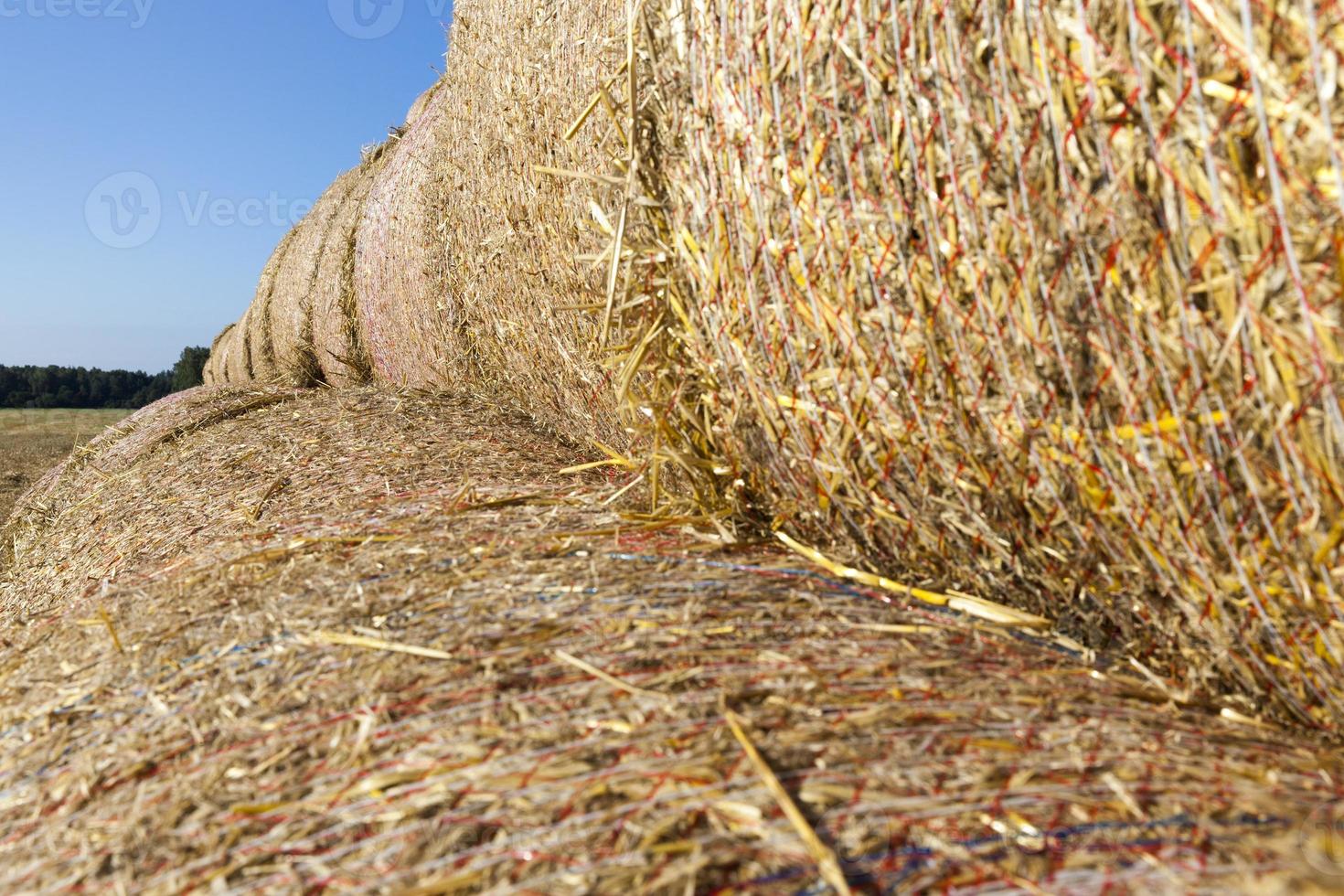 cylindrical stacks, close up photo