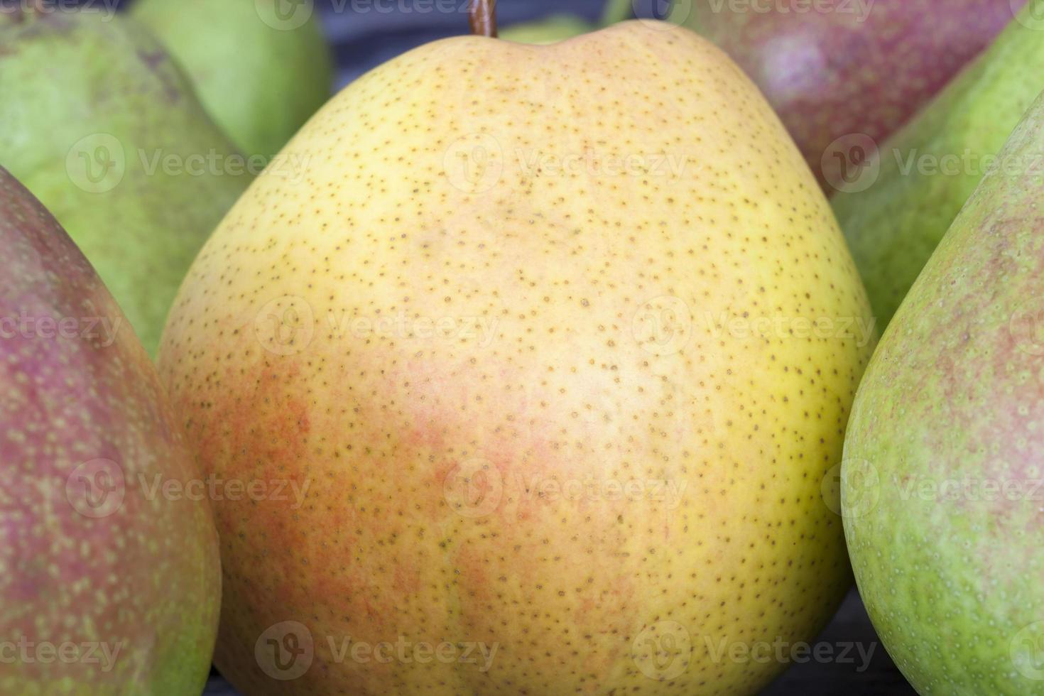 several varieties of pears photo