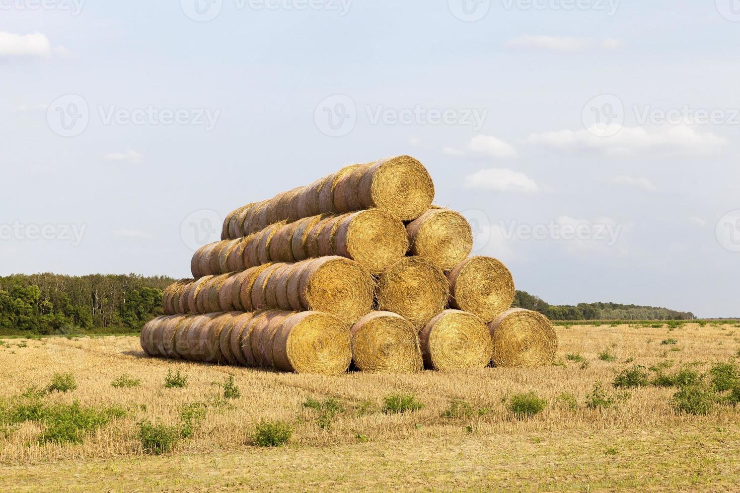 stack of straw photo