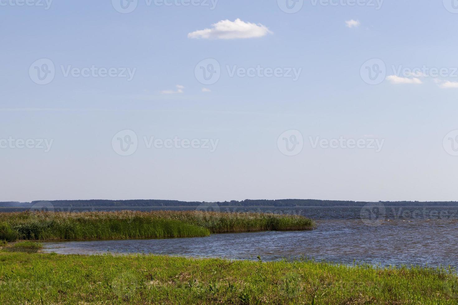 deep lake with grass photo