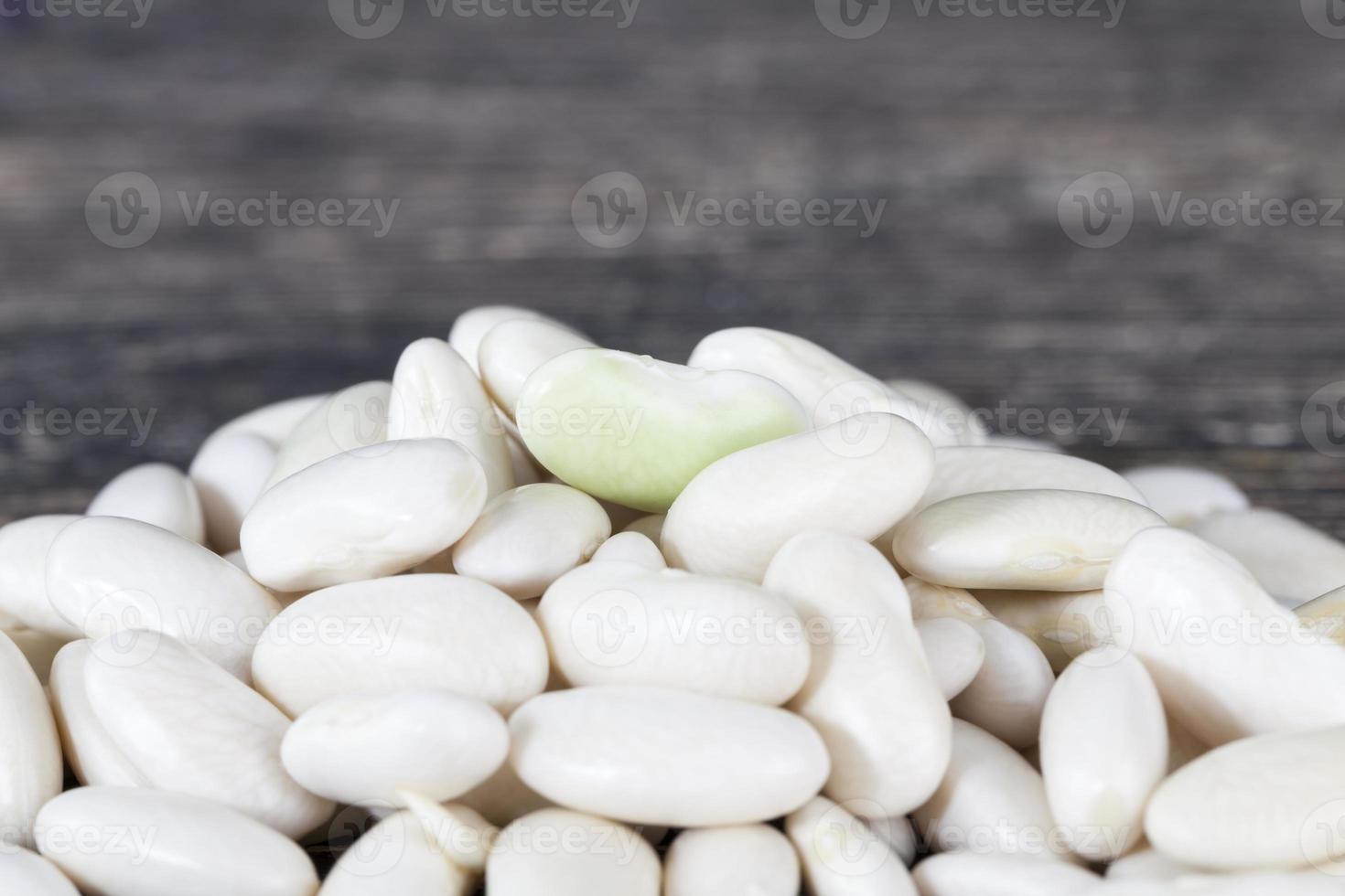 white beans pile photo