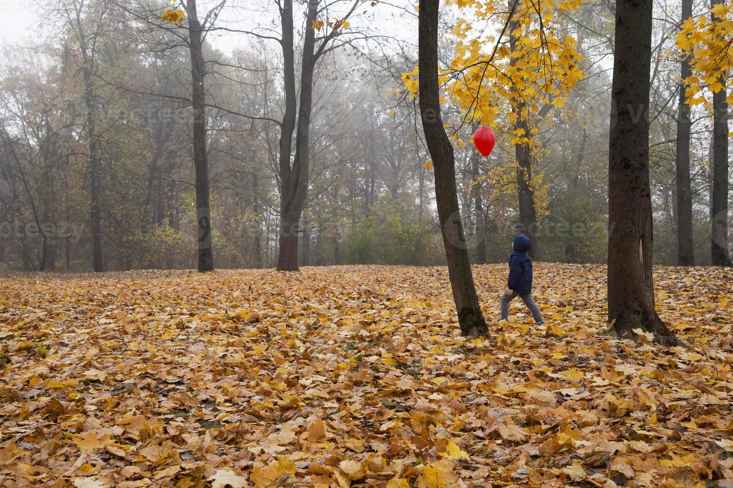 boy in autumn park photo