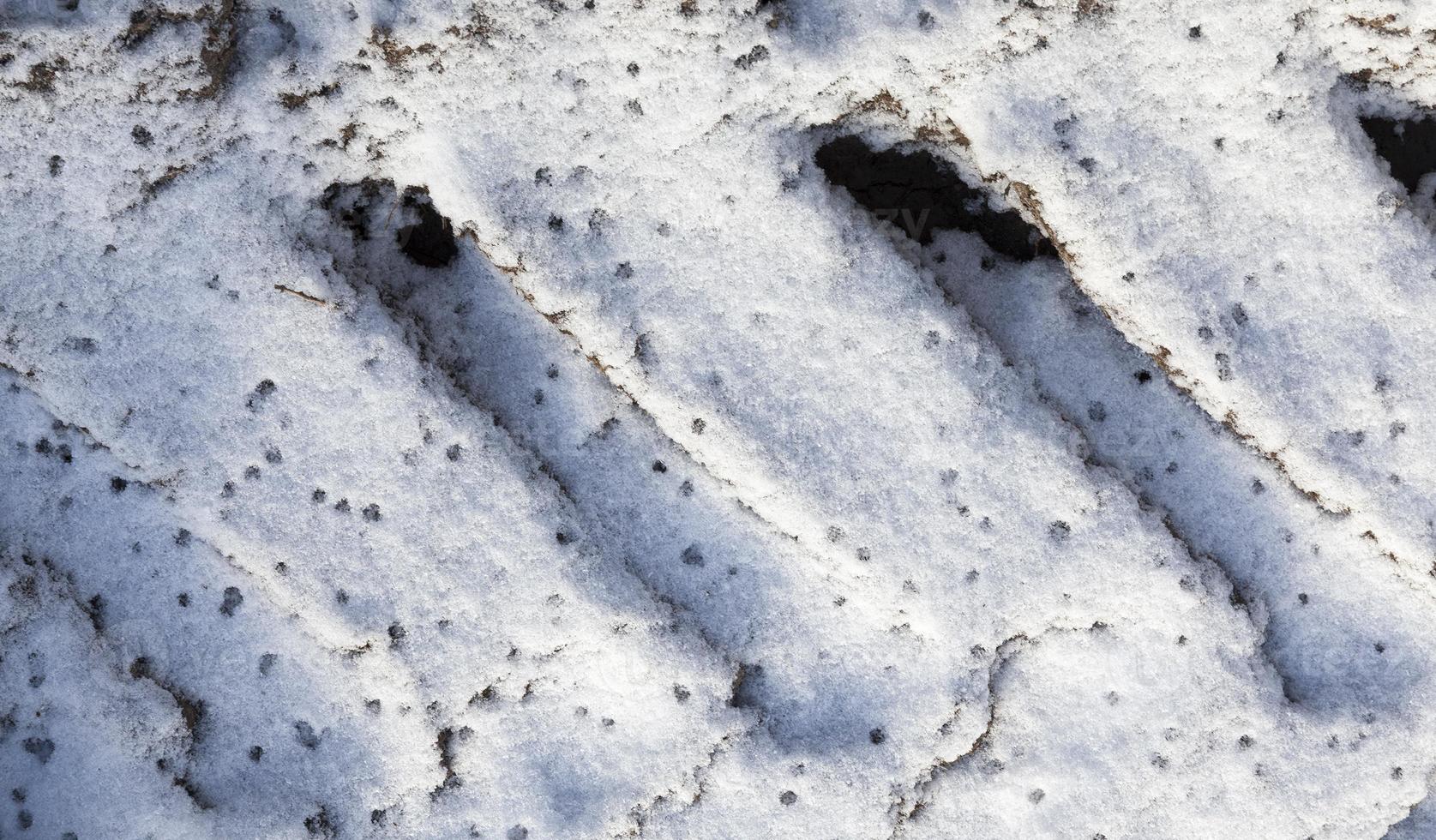 Snow drifts in winter photo