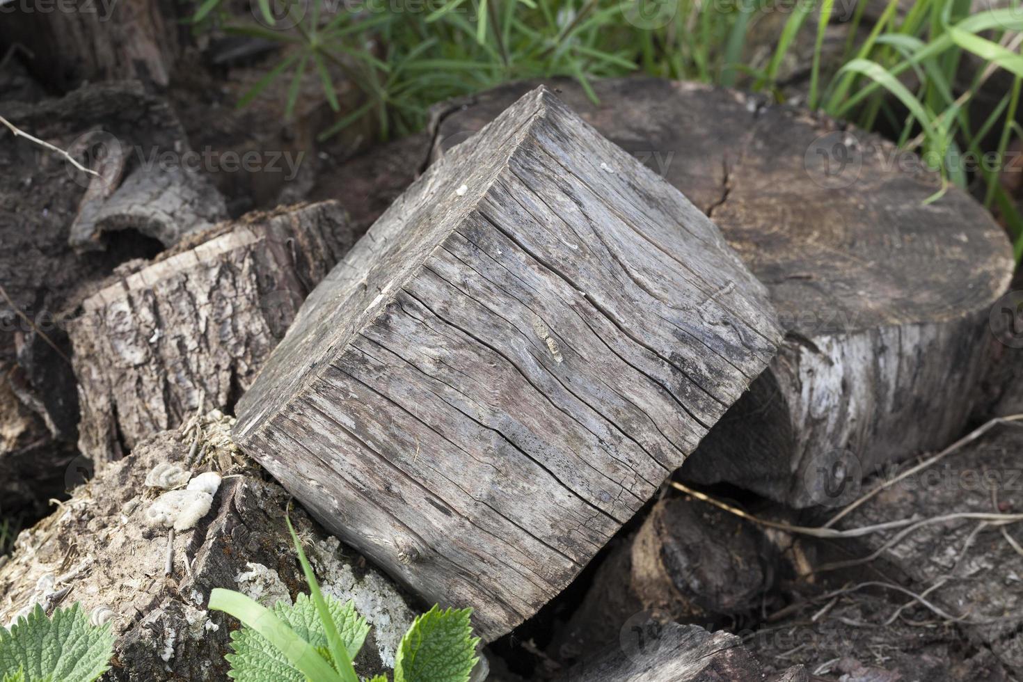 Firewood background, close up photo