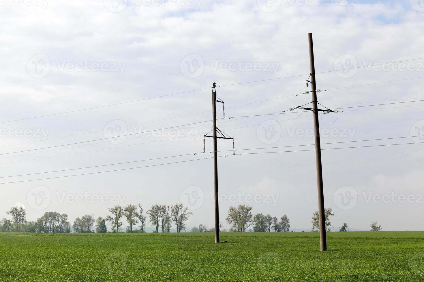 Power lines, field photo