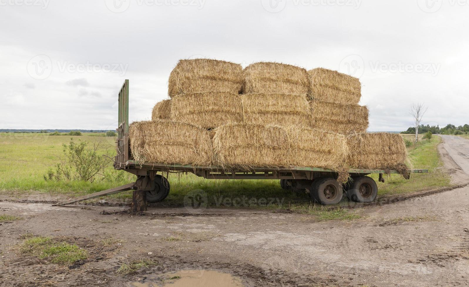 broken trailer, road photo