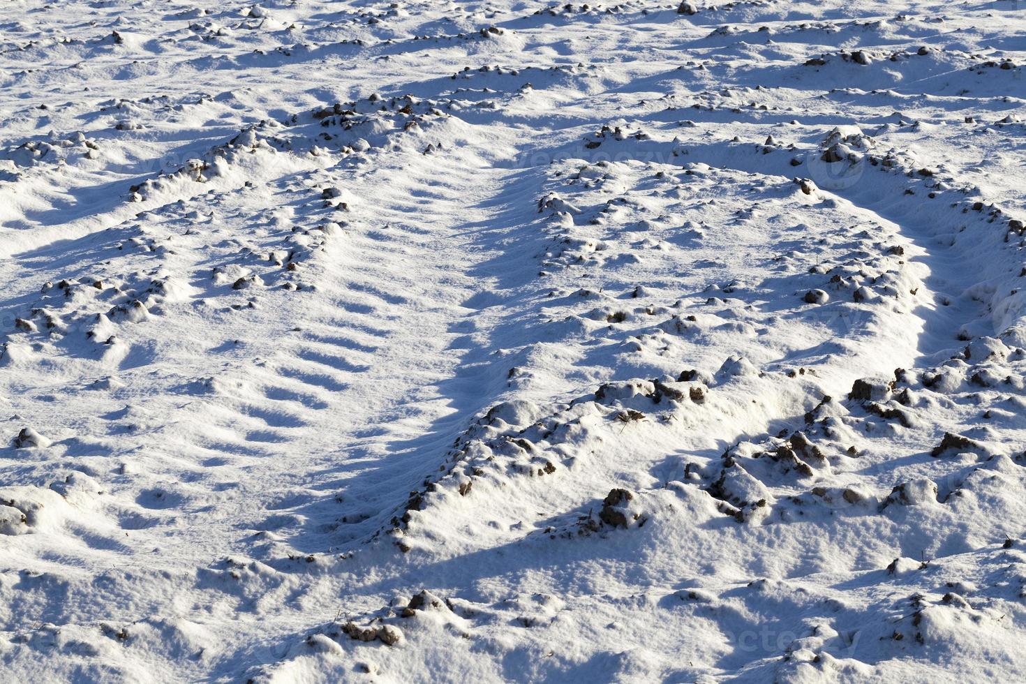 Traces of transport in the winter season photo