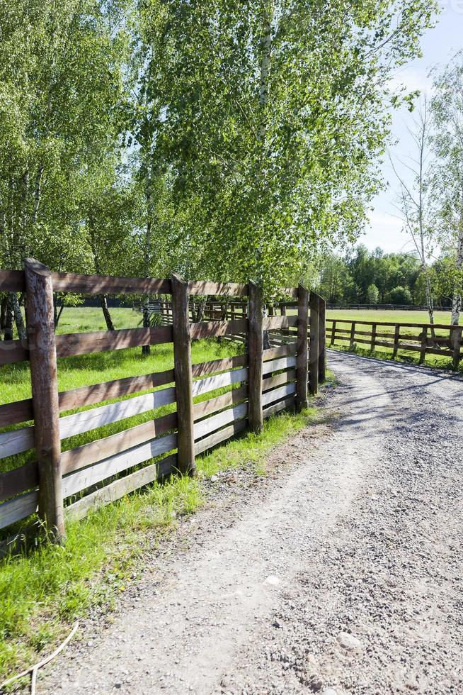 Wooden fence, road photo