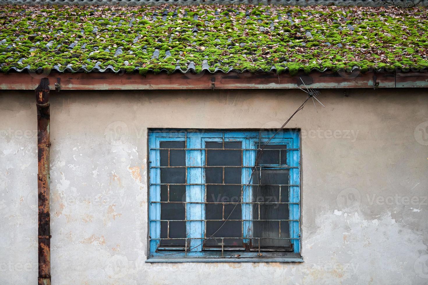 Moss on roof of old building photo