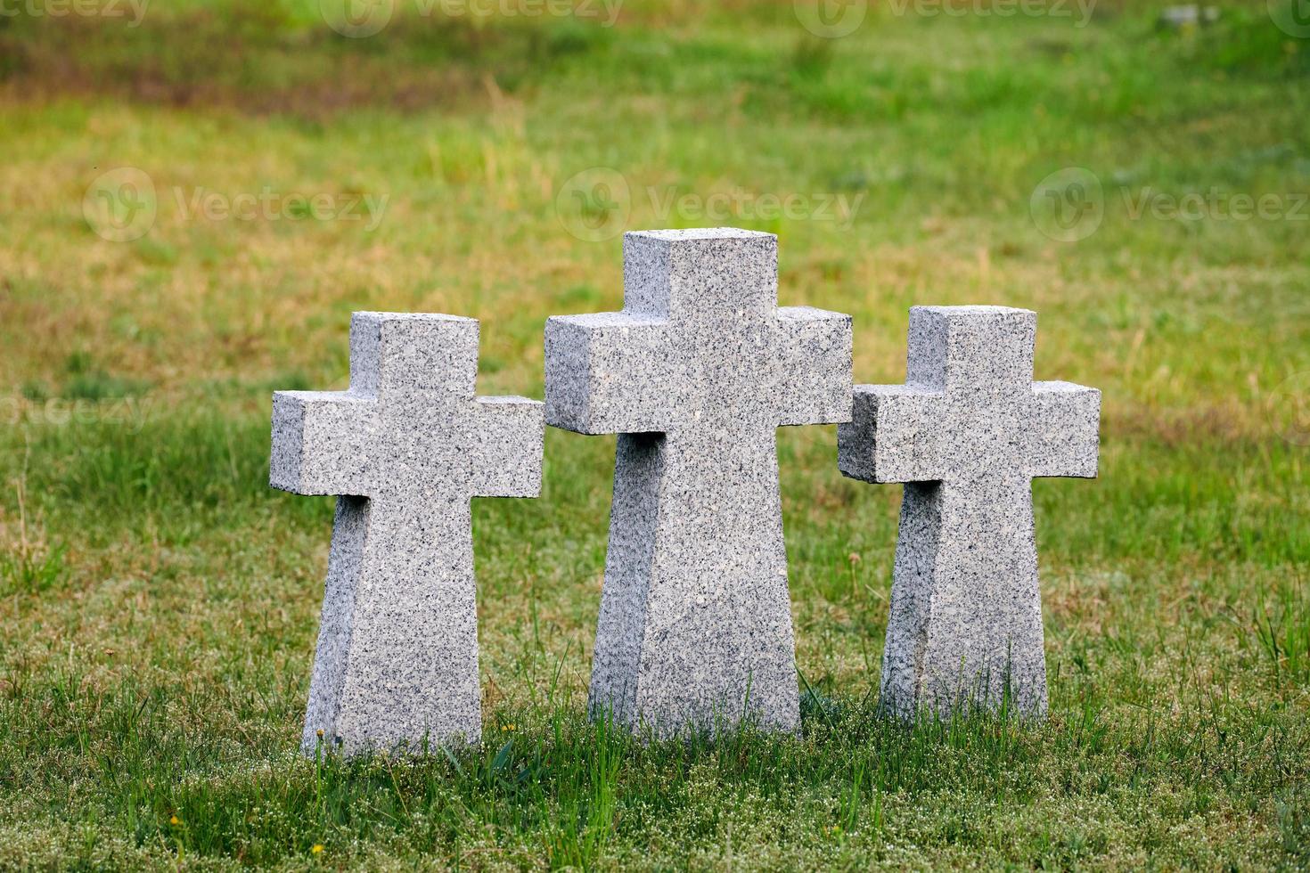Stone crosses in German military cemetery, Russia, Europe photo