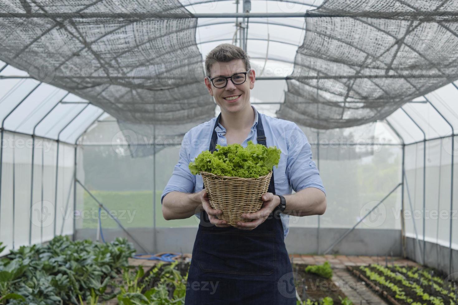 A Caucasian male farmer looks and gives basket of fresh vegetables to camera with a happy smile in plantation greenhouse. Gardener man collects natural organic produce from agriculture nursery crops. photo