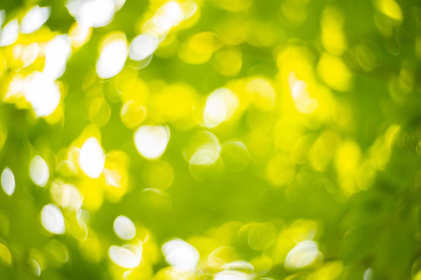 Abstract bokeh defocus blurs photo