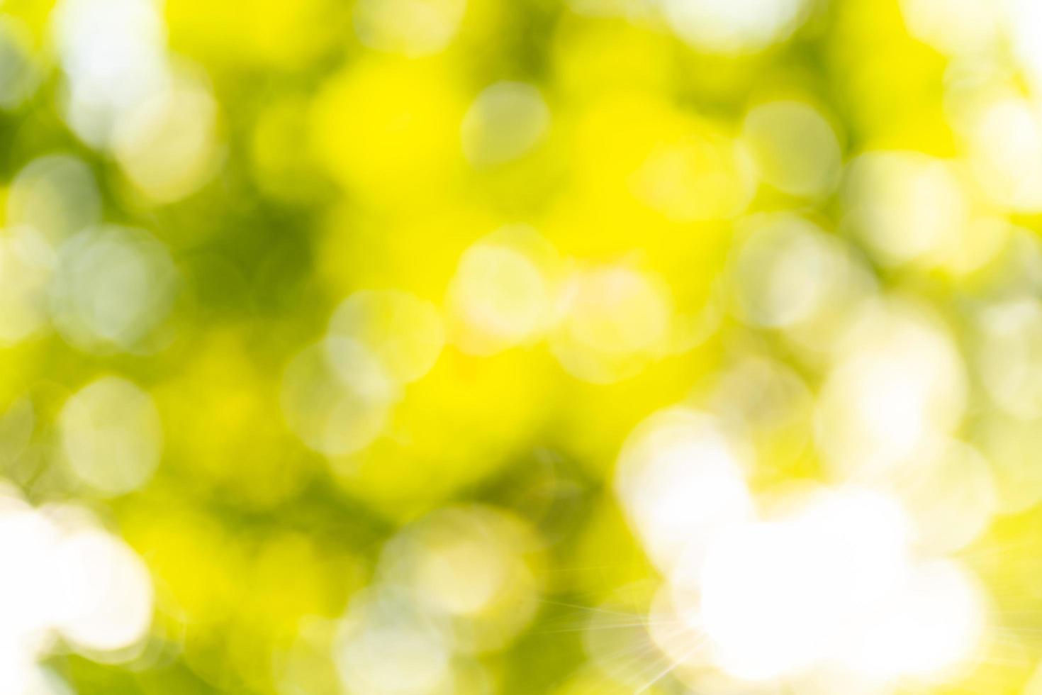 Abstract bokeh defocus blurs photo